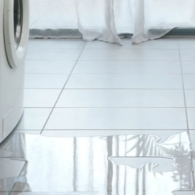 Appliance Leak Cleanup in Ludington, MI