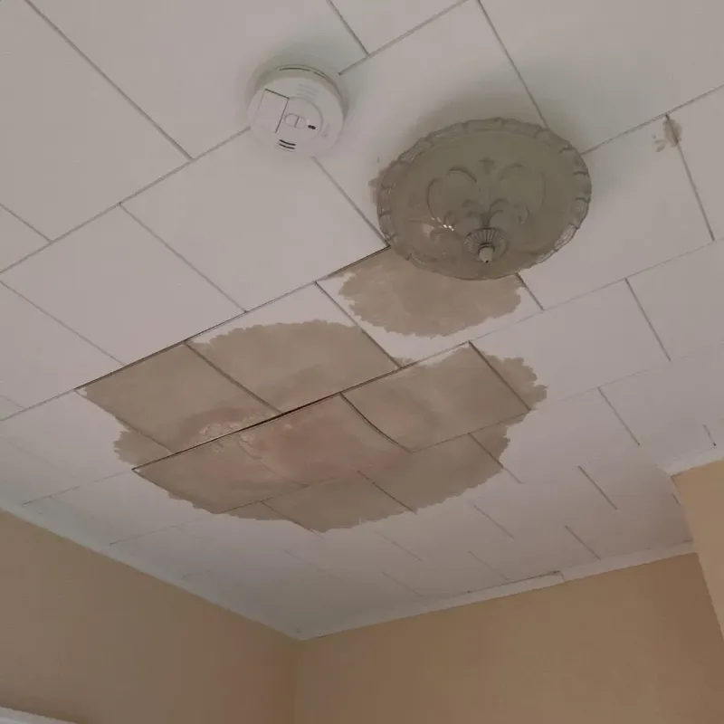 Ceiling Water Damage Repair in Ludington, MI