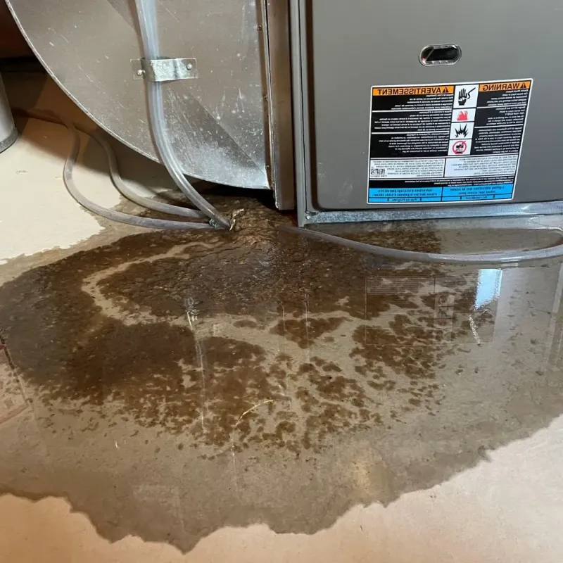Pipe Burst and Leak Restoration in Ludington, MI