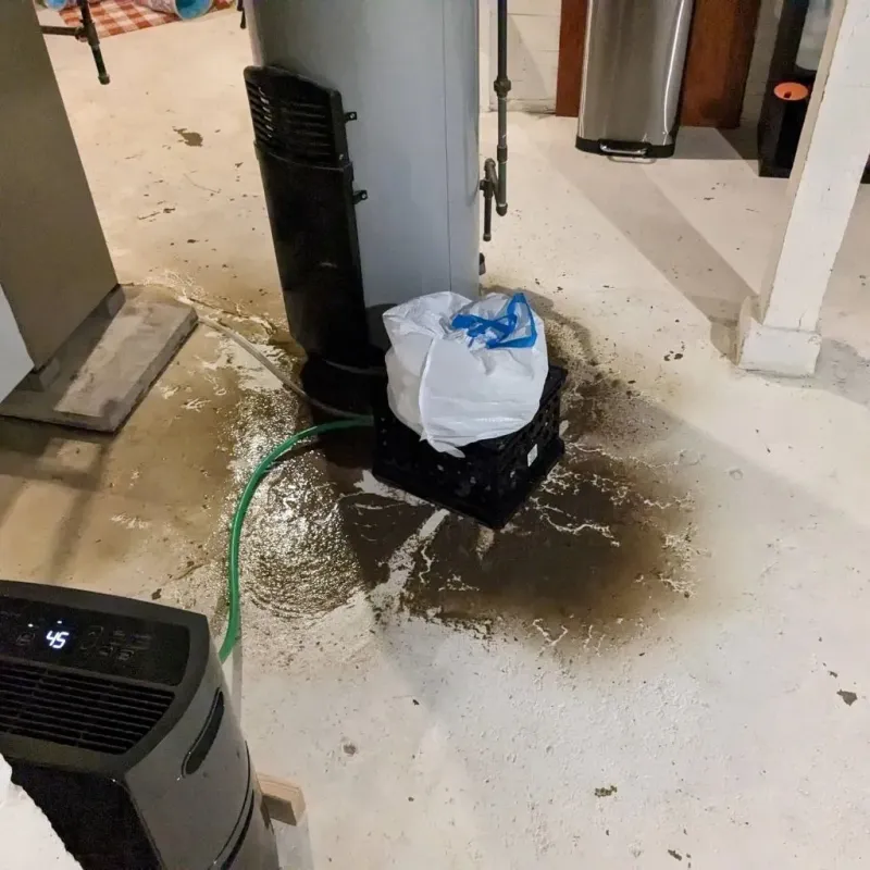 Sewage Backup Cleanup Service in Ludington, MI